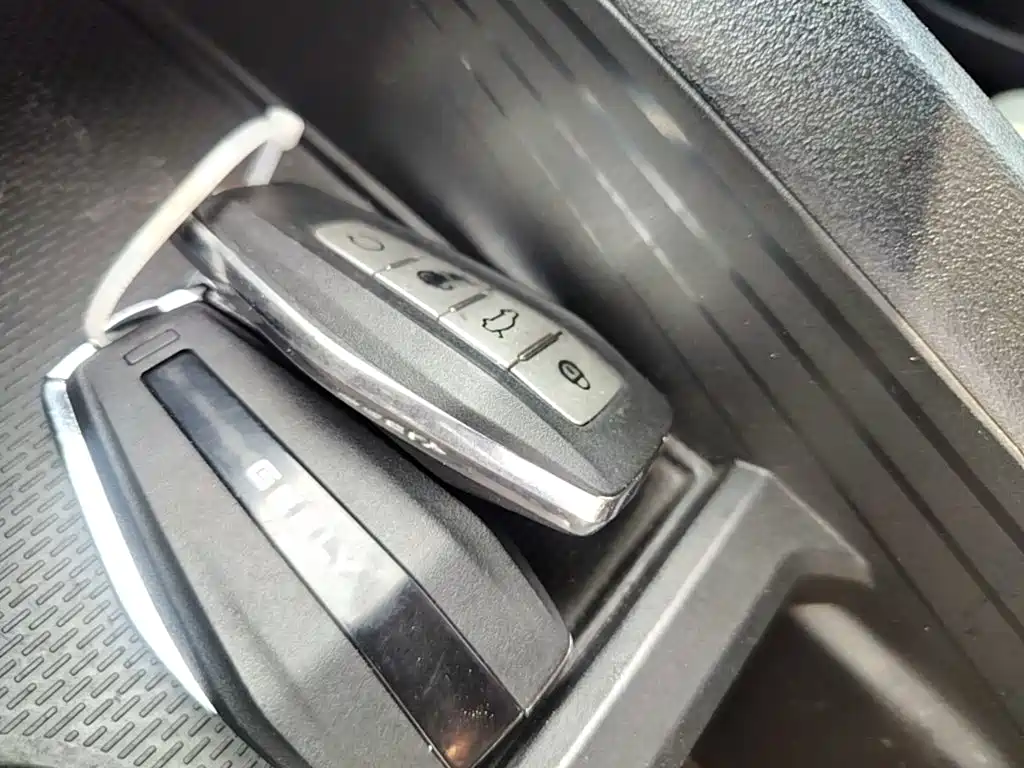 Фото 9 - Geely Binrui
