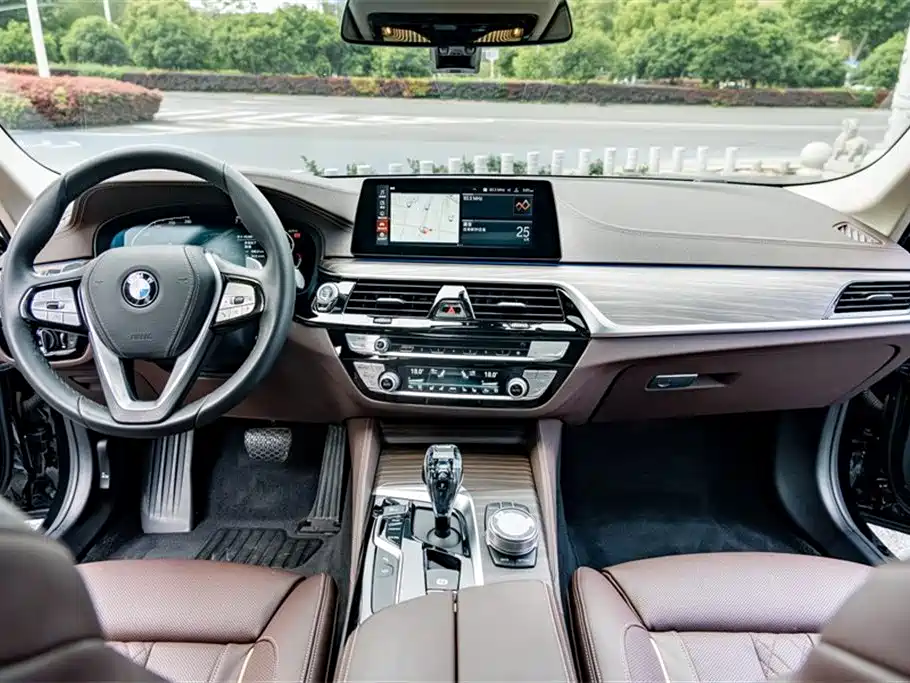 BMW 5 Series 2020 530Li Premium Luxury Package фото 13