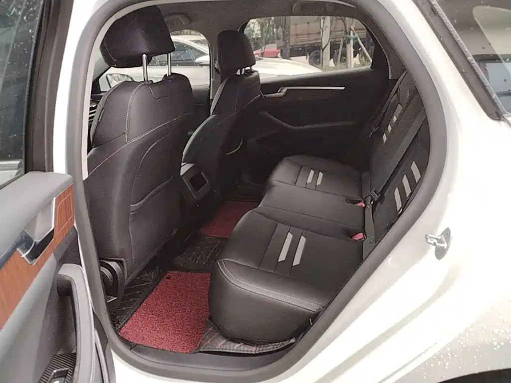 BYD Qin Pro 2020 Surpass Edition 1.5TI Automatic Premium фото 17