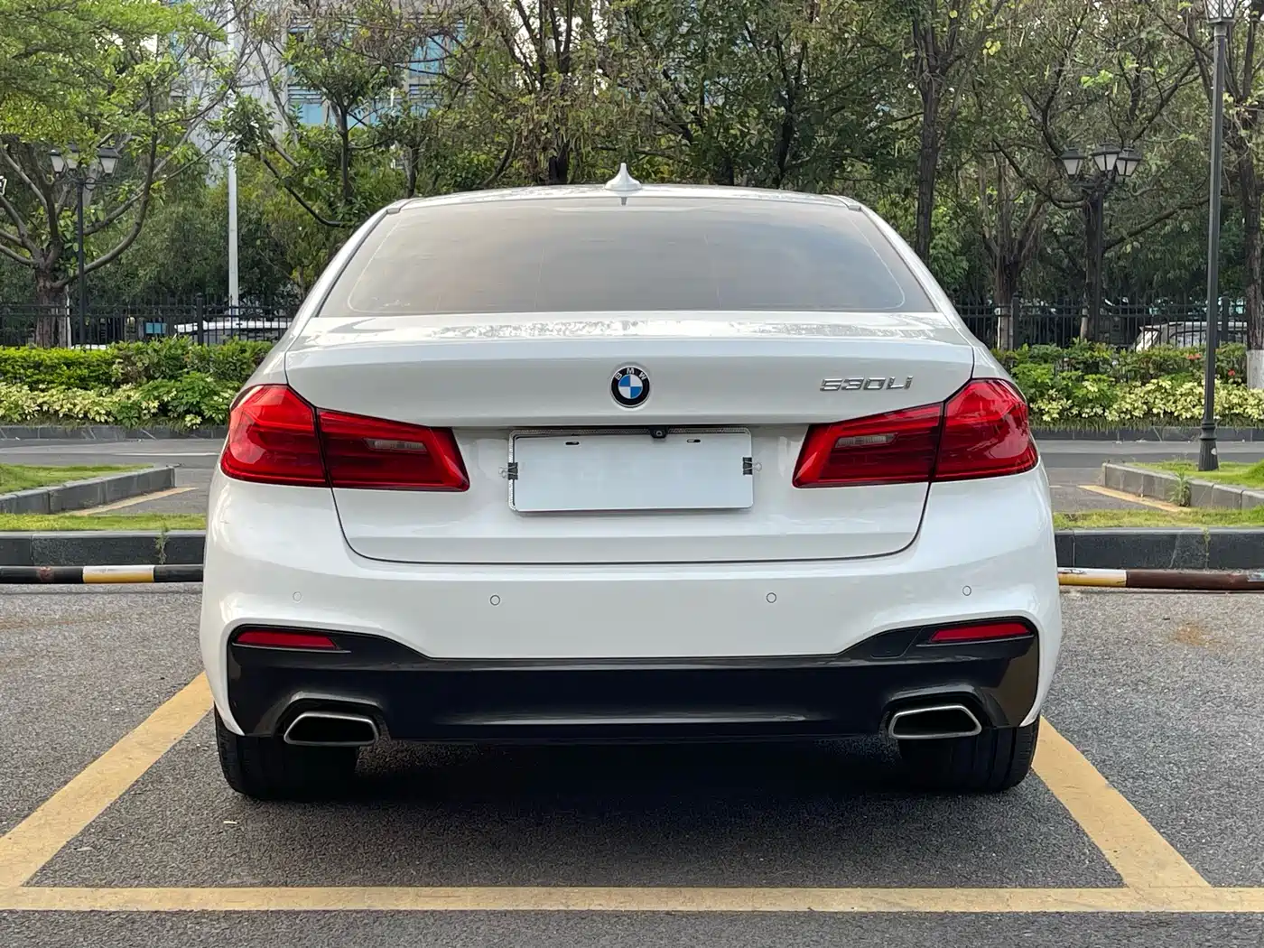 BMW 5 Series 2019 530Li Premium M Sport Package фото 5