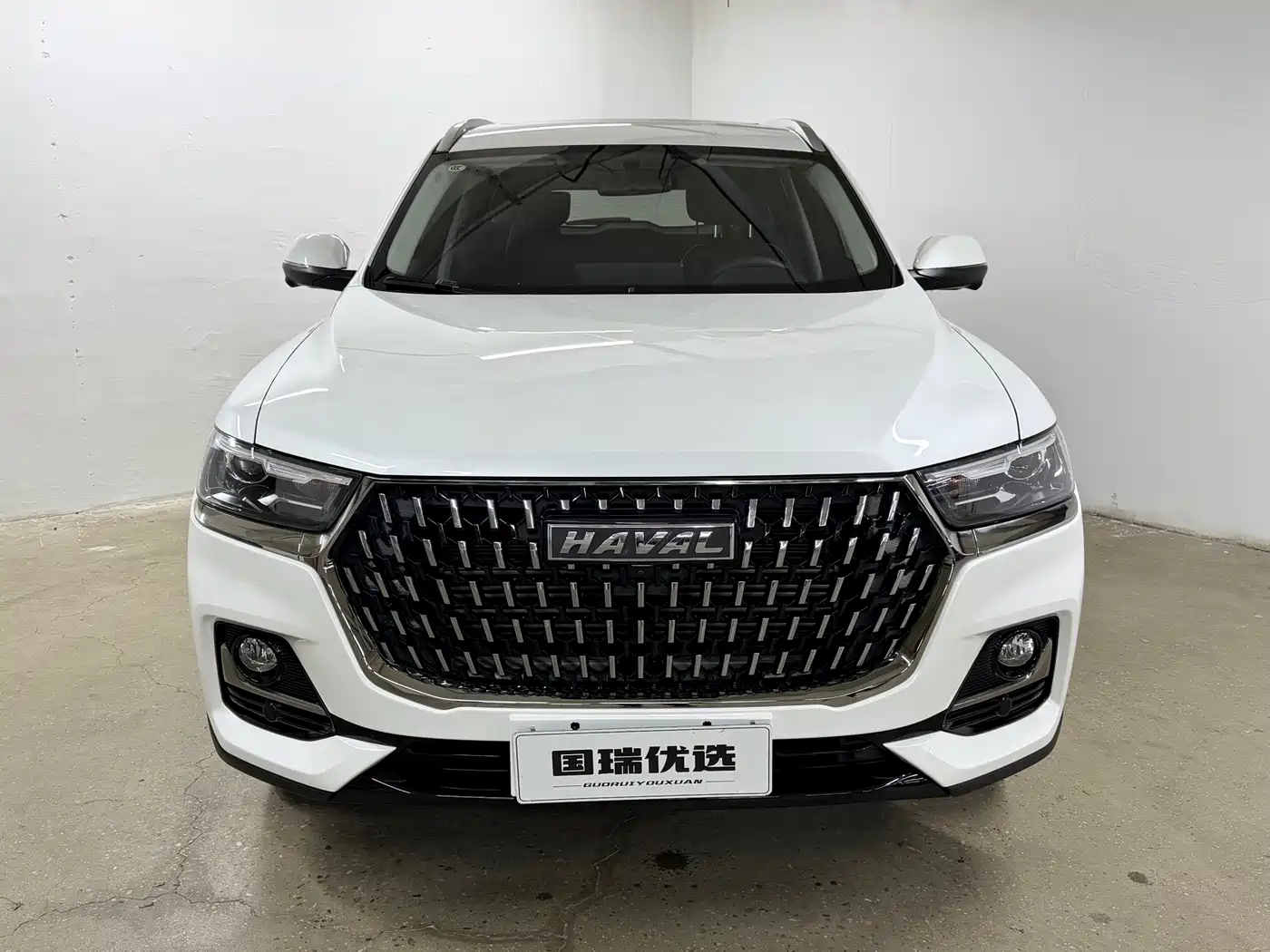 Haval H6 2023 National Trend Edition 1.5T Automatic Urban фото 2