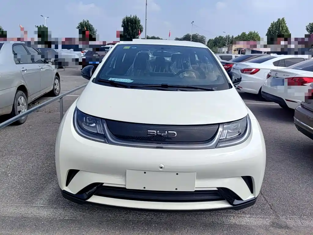 BYD Dolphin 2026 2025 420km Freedom Edition