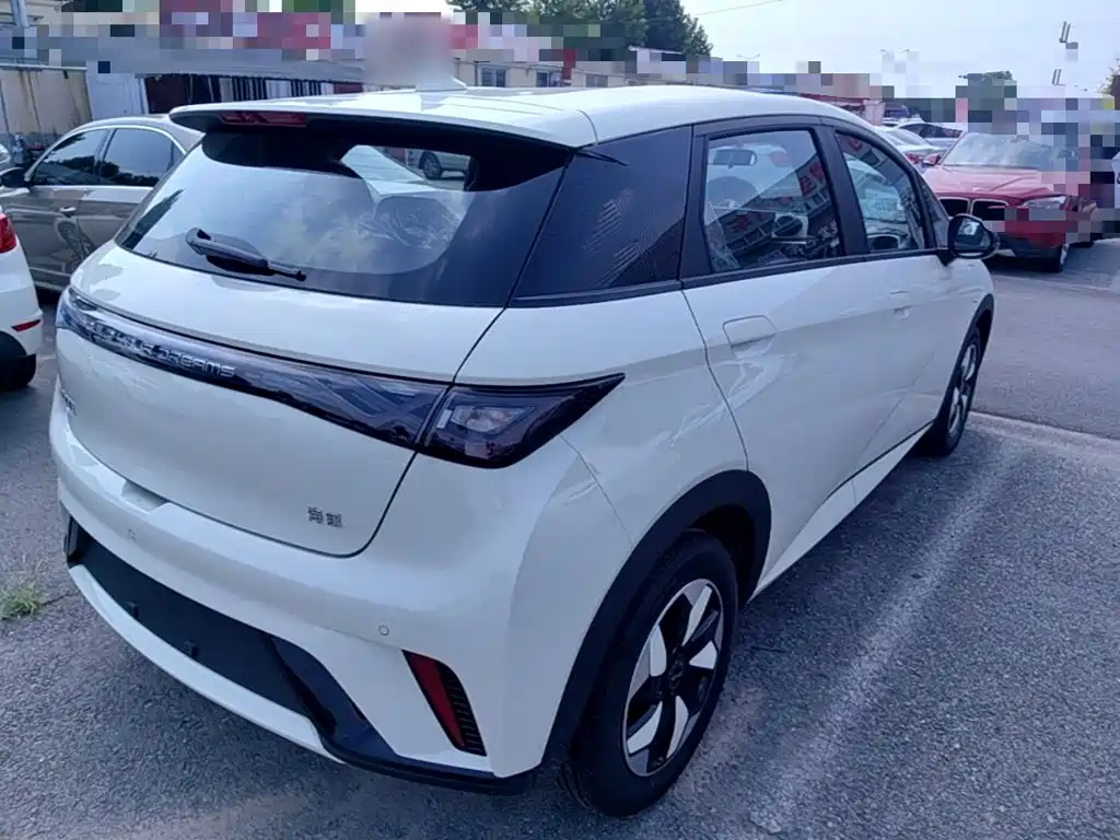 BYD Dolphin 2026 2025 420km Freedom Edition