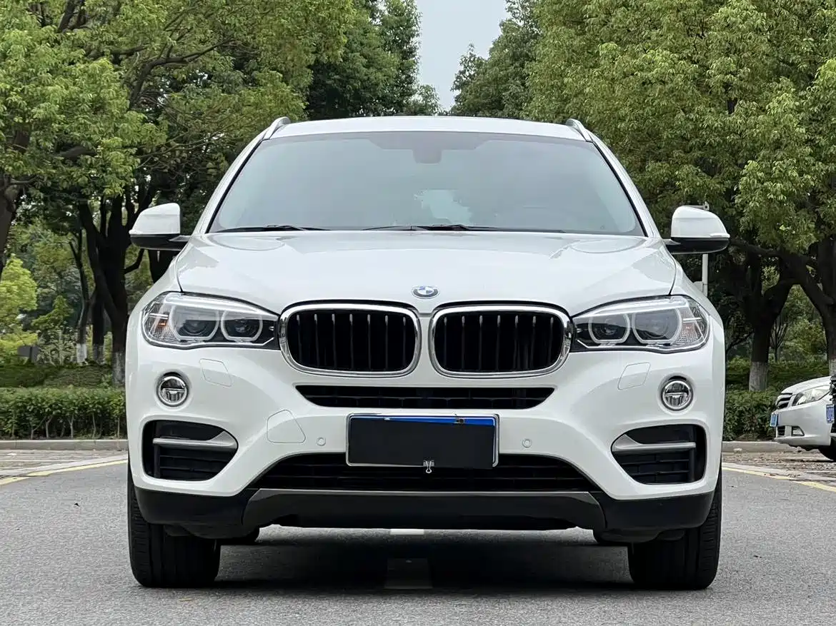 BMW X6 2015 xDrive35i Leading Type фото 3