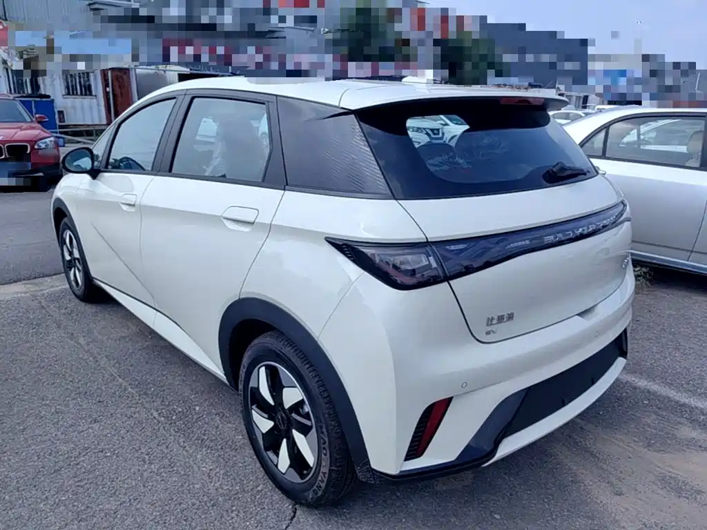 BYD Dolphin 2026 2025 420km Freedom Edition