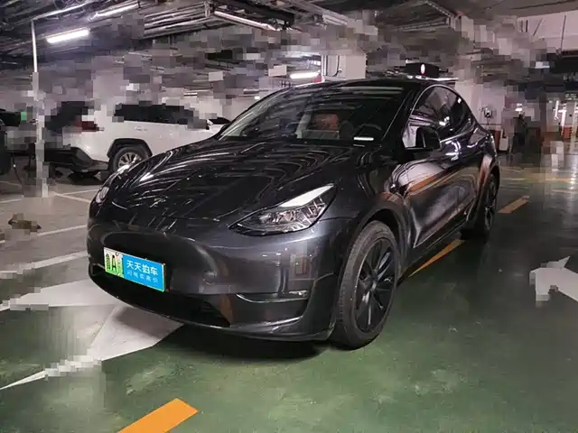 Tesla Model Y 2024 Long Range AWD — фото 1