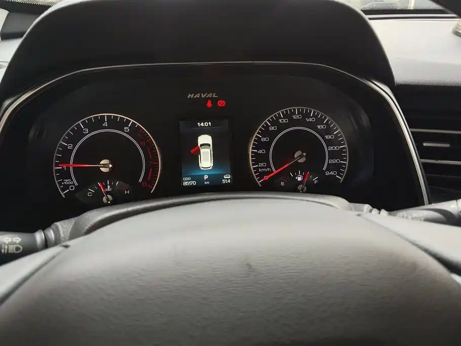 Haval H6 2020 1.5GDIT Automatic Platinum Champion Edition фото 14