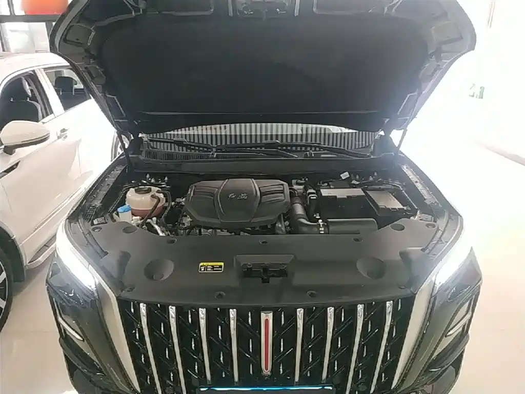 Hongqi HS5 2025 2.0T 2WD Qixiang Pro фото 20