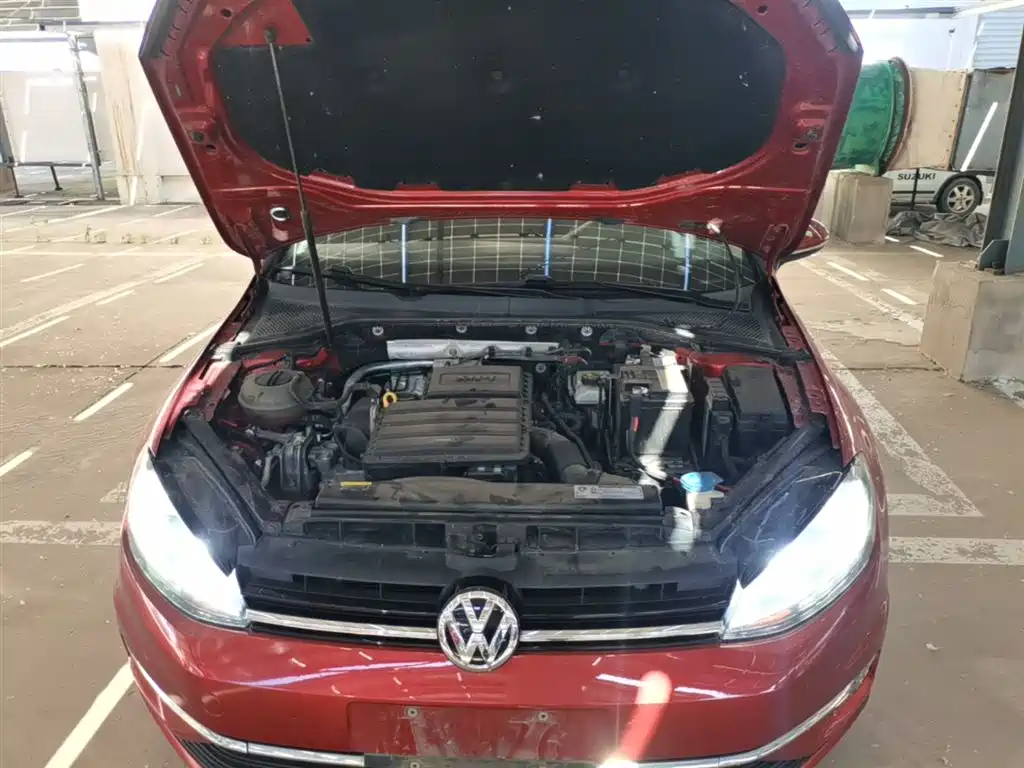 Volkswagen Golf 2019 1.6L Auto Comfort (China V) фото 20