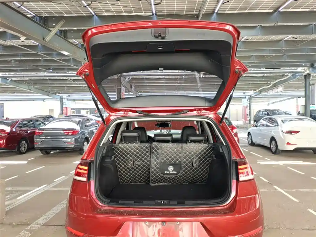 Volkswagen Golf 2019 1.6L Auto Comfort (China V) фото 19