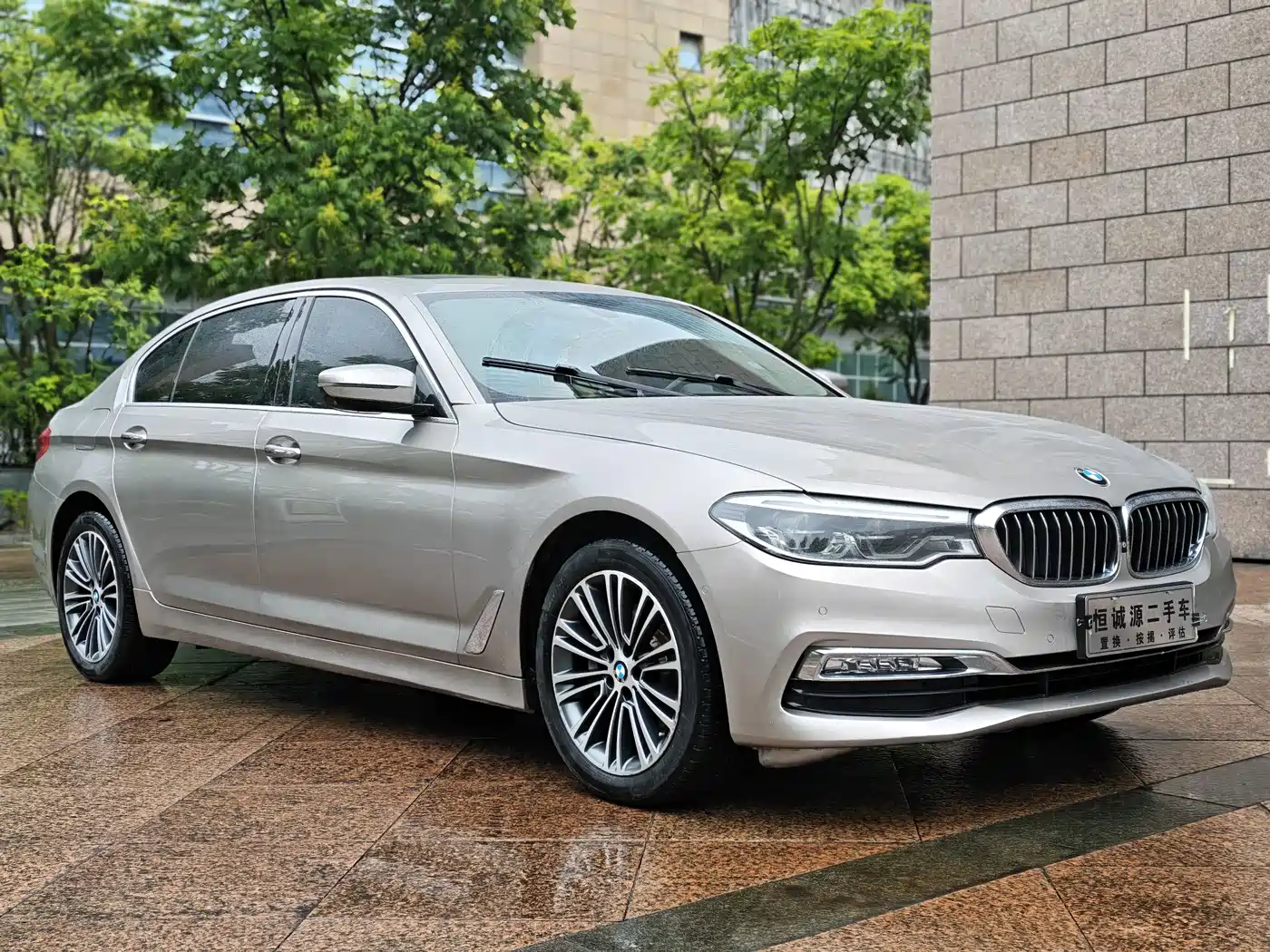 BMW 5 Series 2018 530Li Exclusive Luxury Package фото 2