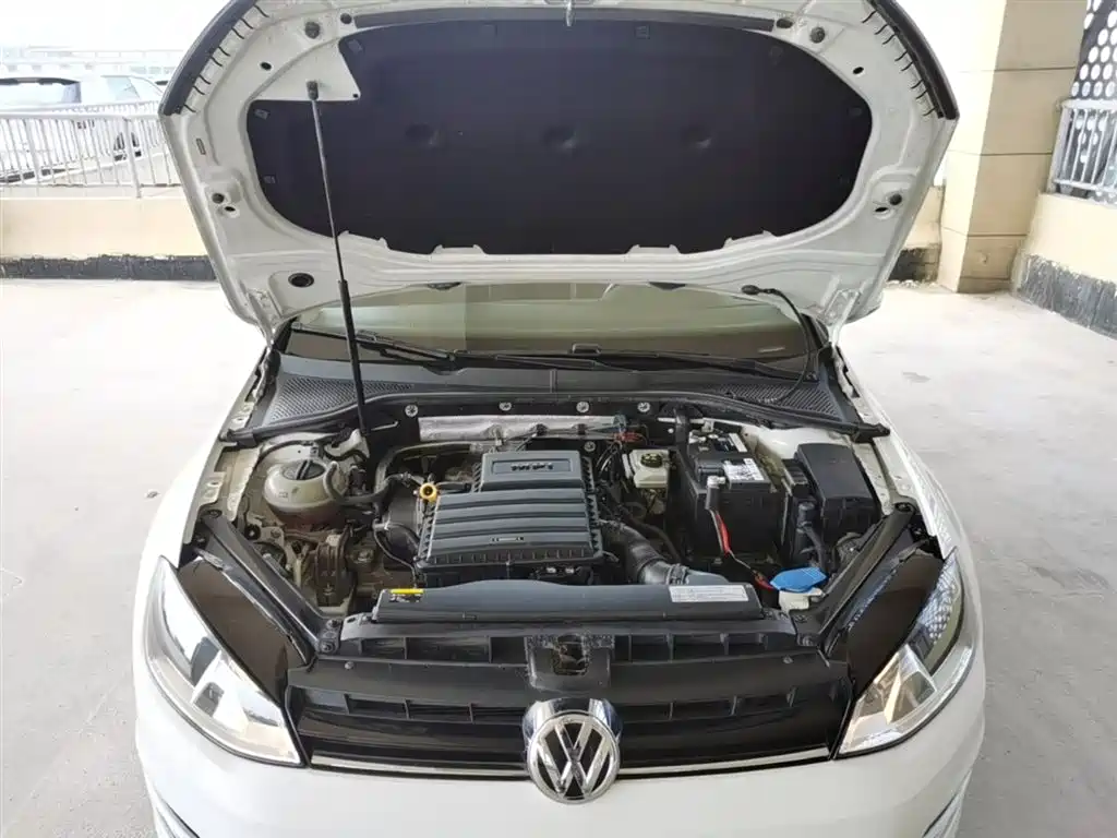 Volkswagen Golf 2016 1.6L Automatic Comfort фото 20