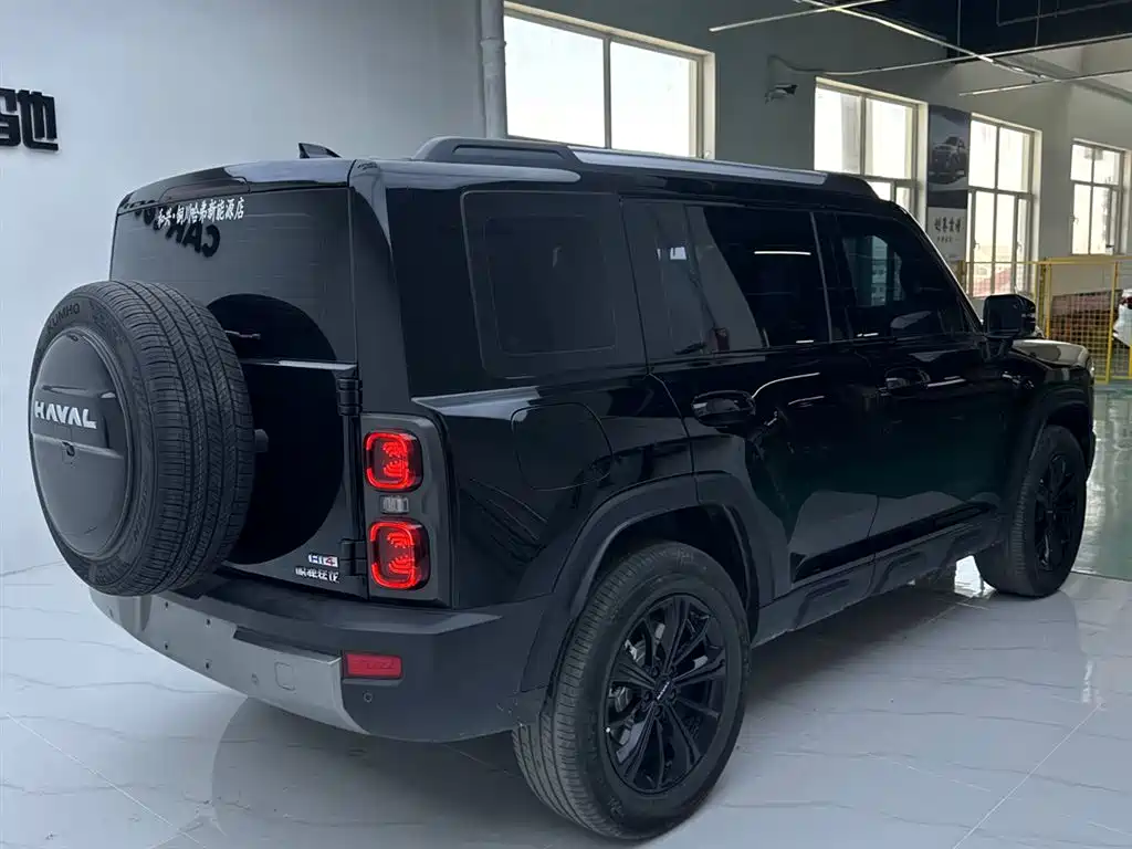 HAVAL RAPTORS NEW ENERGY