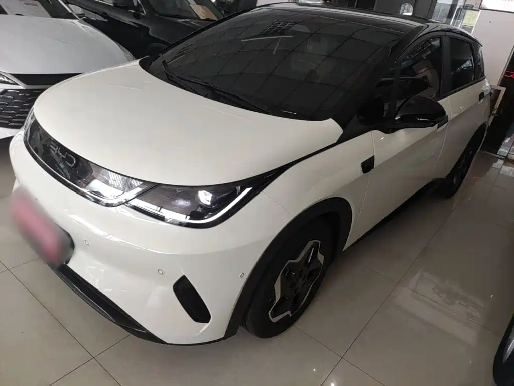 BYD Dolphin 2026 2025 Smart Drive Edition 420km Freedom Version