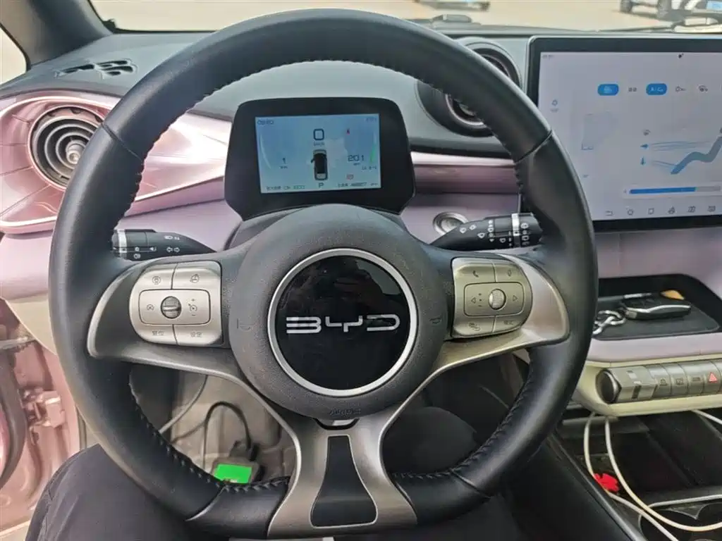 BYD Dolphin 2023 420km Fashion Edition фото 11