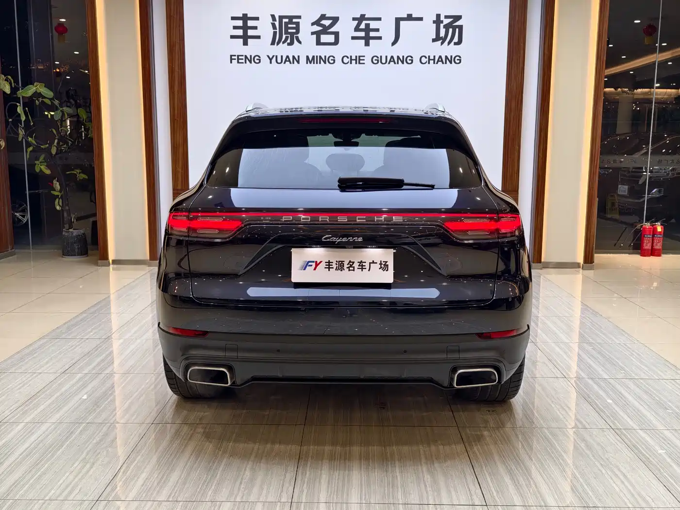Porsche Cayenne 2022 Cayenne 3.0T Platinum Edition фото 28