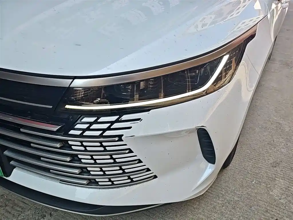BYD Destroyer 05 2024 Glory Edition DM-i 55KM Luxury фото 24