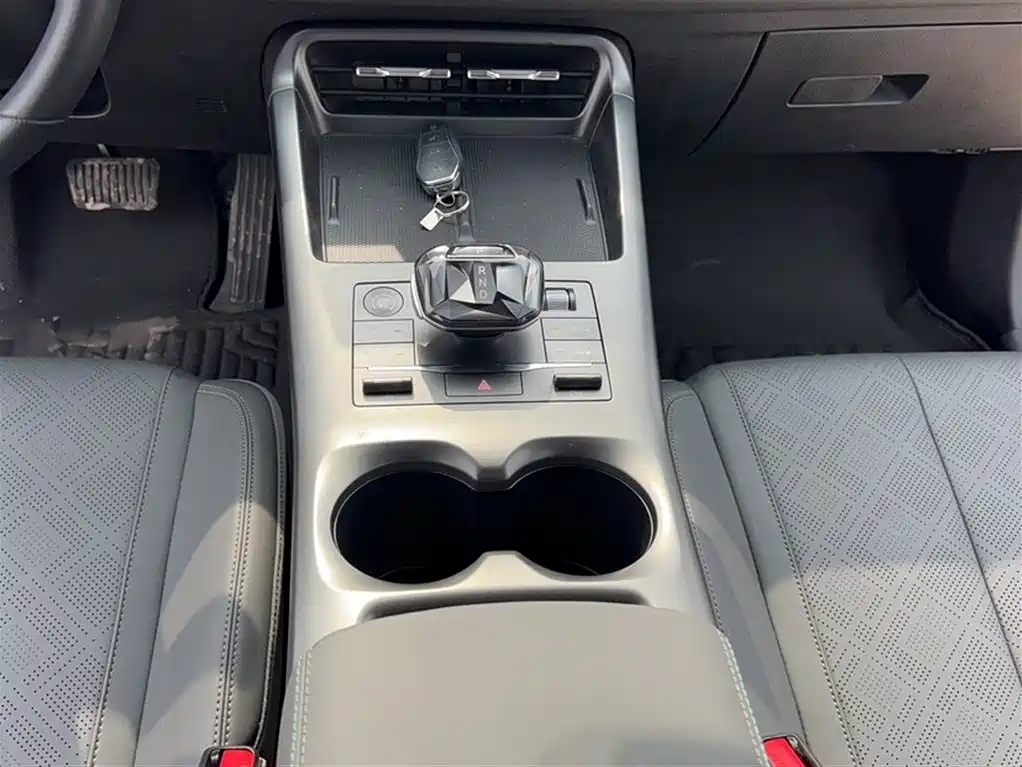 BYD Qin PLUS 2025 DM-i Smart Drive 55KM Leader фото 11