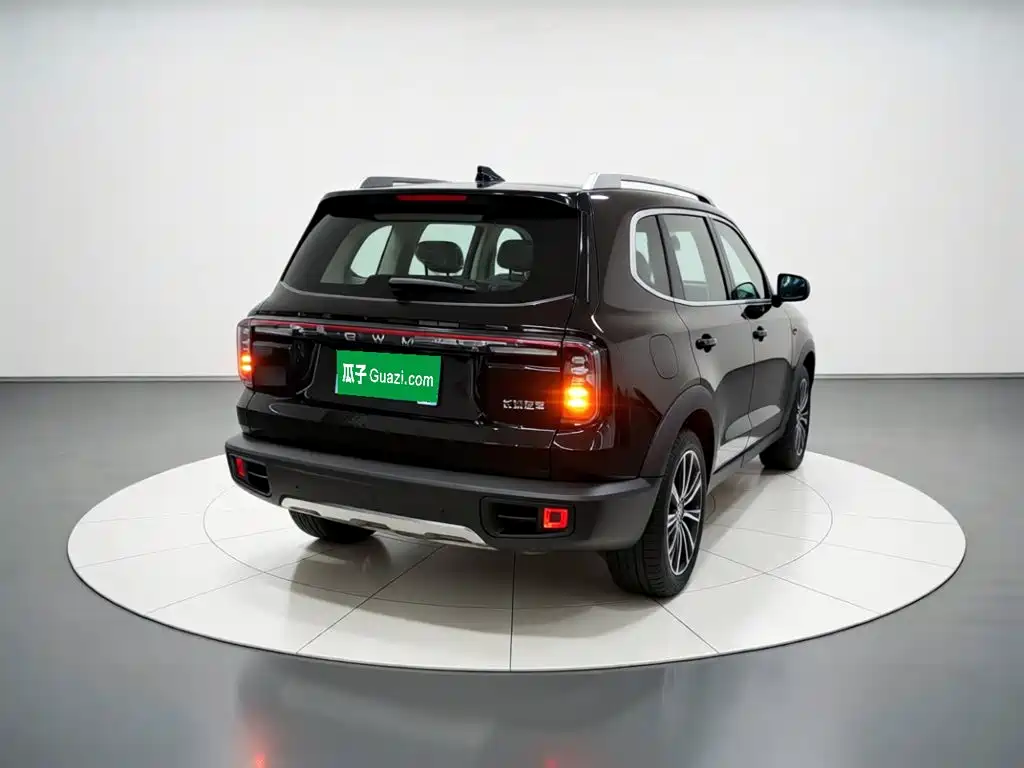  Haval Haval Big Dog 2026 Model 1.5T High Configuration 7