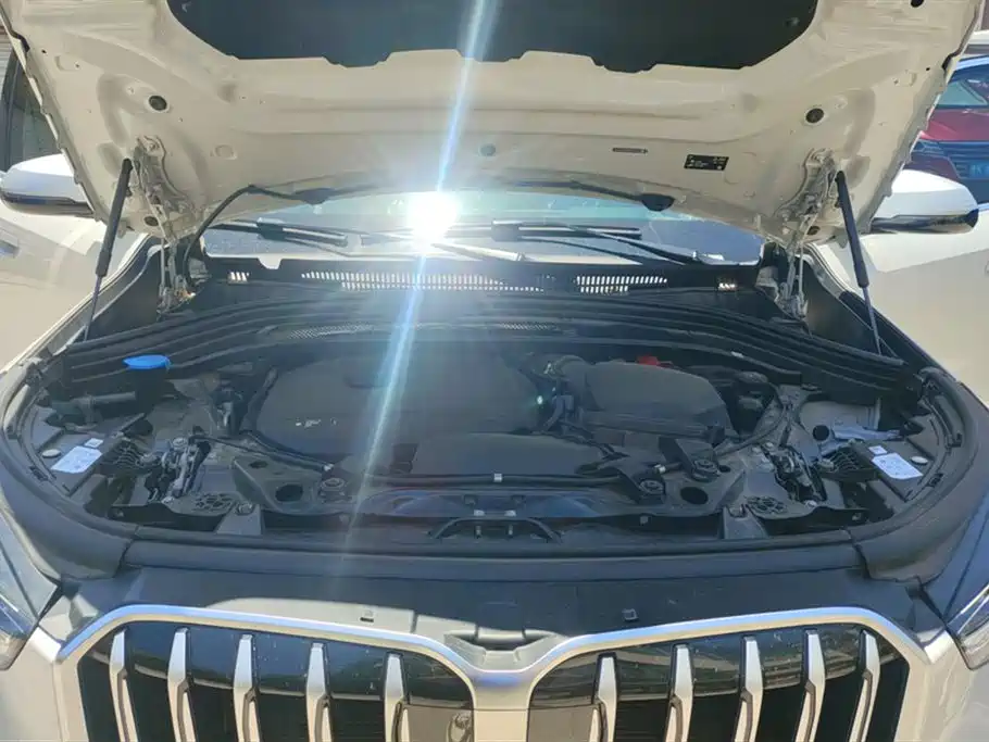 BMW X1 2023 xDrive25Li X Design Package фото 10