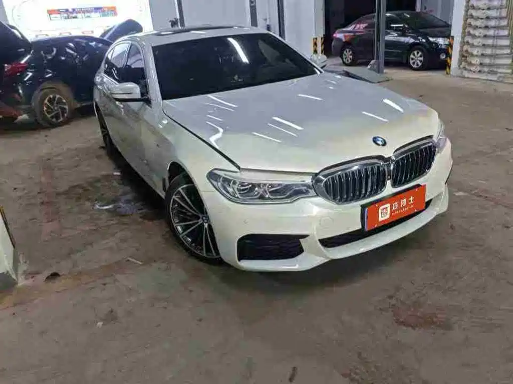 BMW 5 Series 2020 530Li Exclusive M Sport Package фото 6