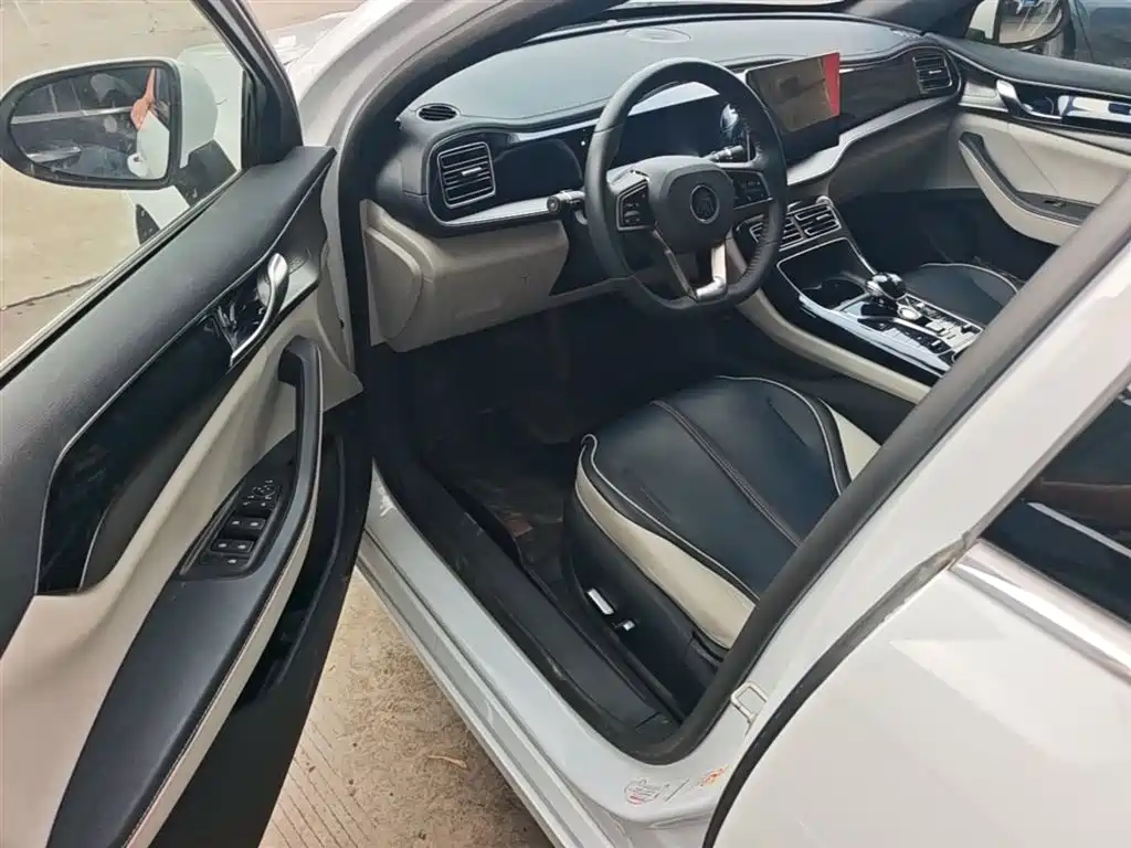 BYD Qin PLUS 2021 DM-i 55KM Flagship фото 16