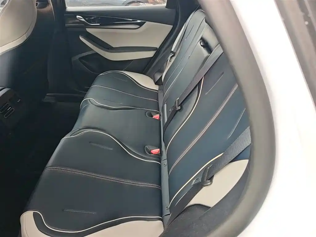 BYD Qin PLUS 2021 DM-i 55KM Flagship фото 17