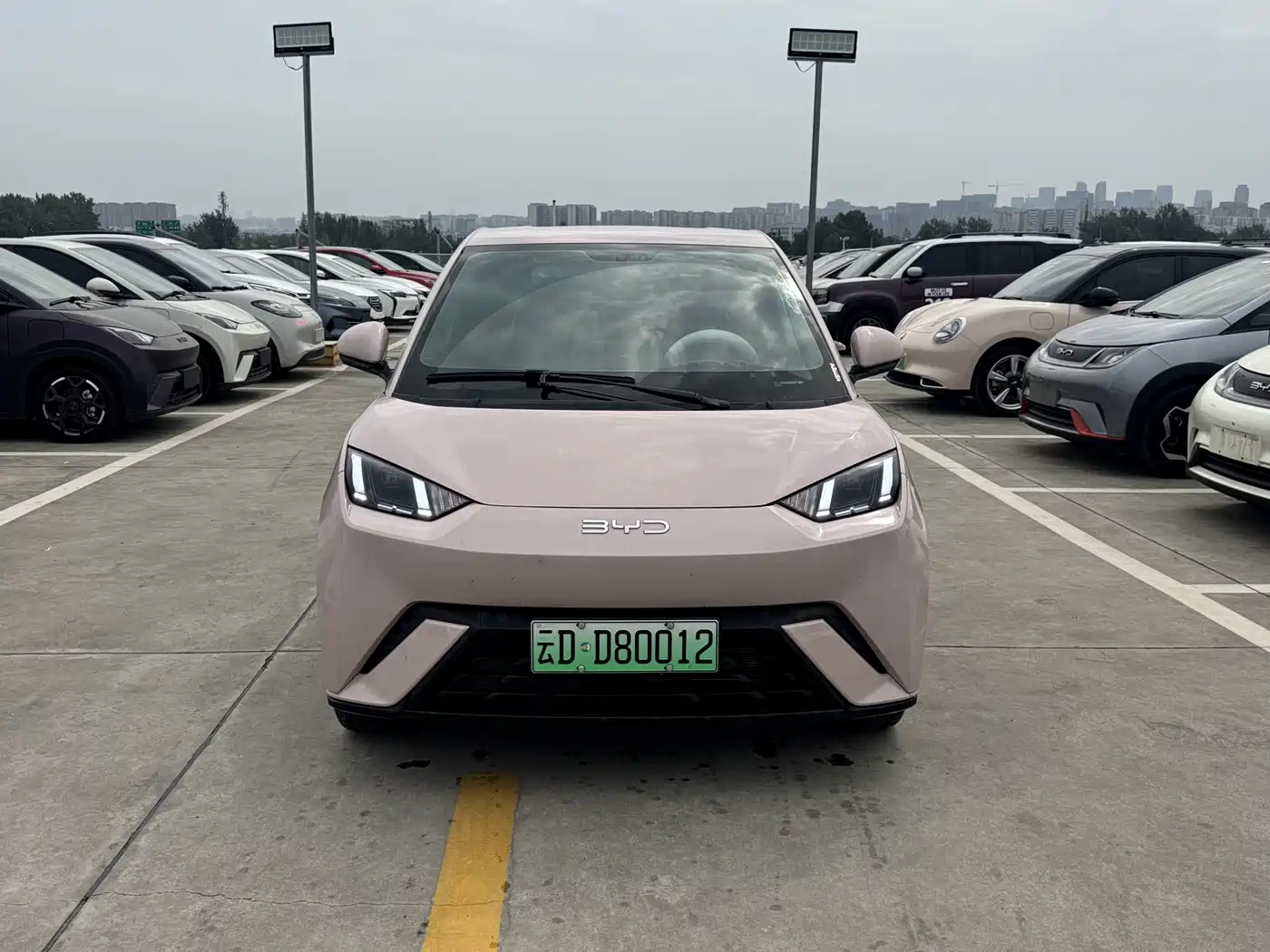 BYD Seagull 2025 305km Freedom фото 2