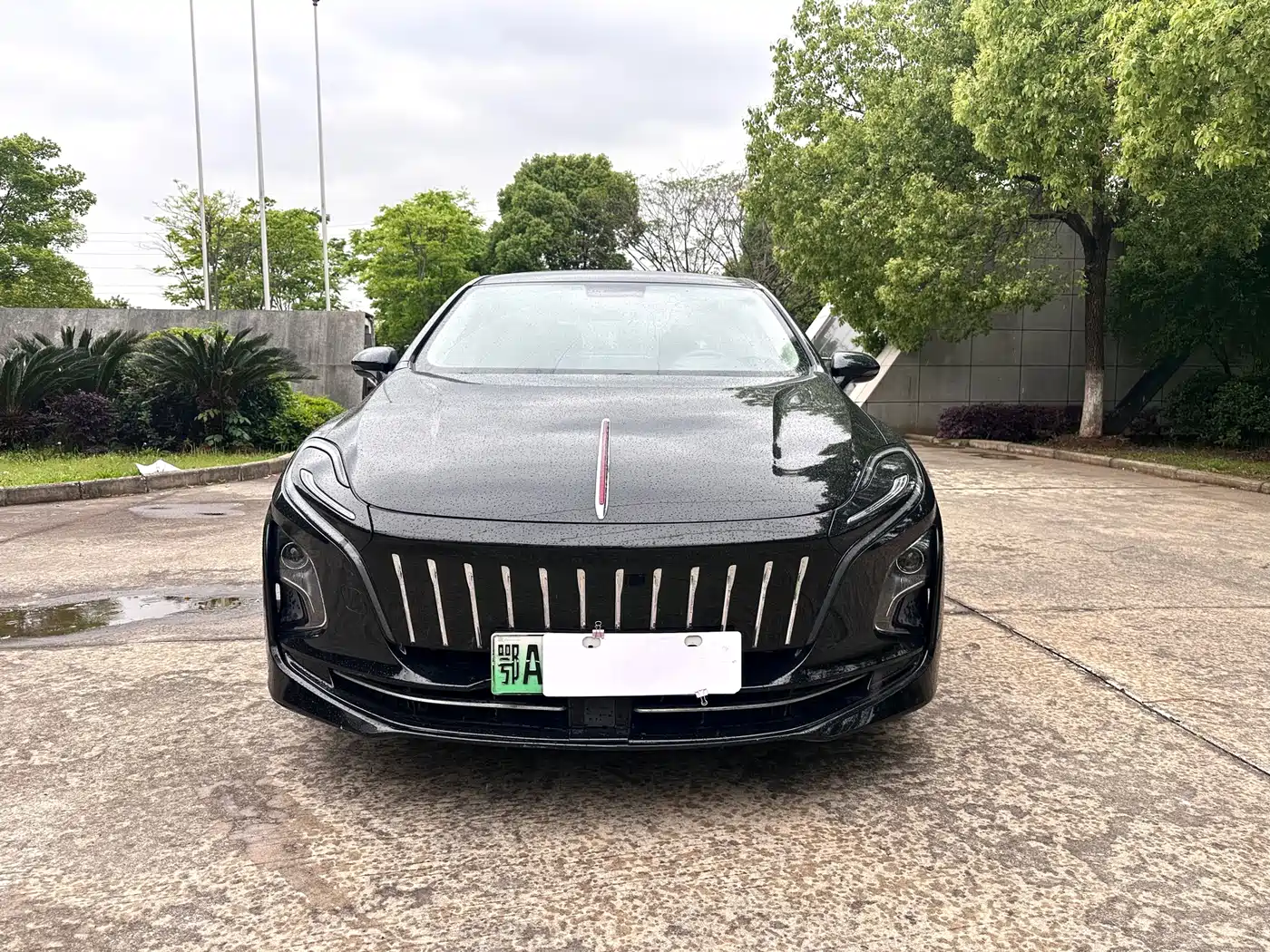 Hongqi E-QM5 2022 431km Battery Swap Enjoyment Edition фото 2