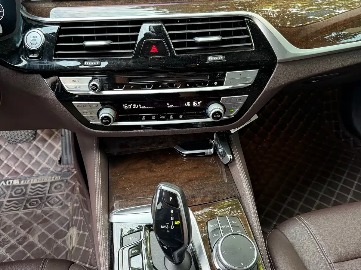 BMW 5 Series 2019 525Li Luxury Package фото 6