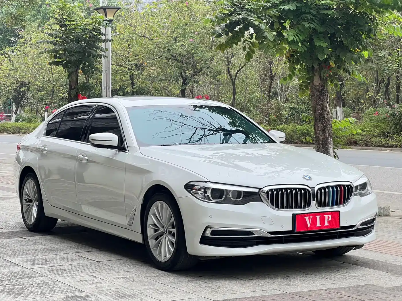 BMW 5 Series 2019 530Li Leading Luxury Package фото 3