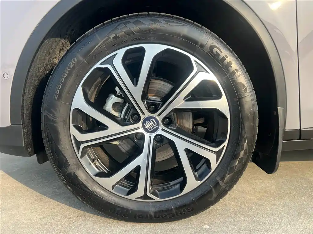 BYD Tang New Energy 2025 Smart Driving Edition DM-i 115KM Premium фото 21
