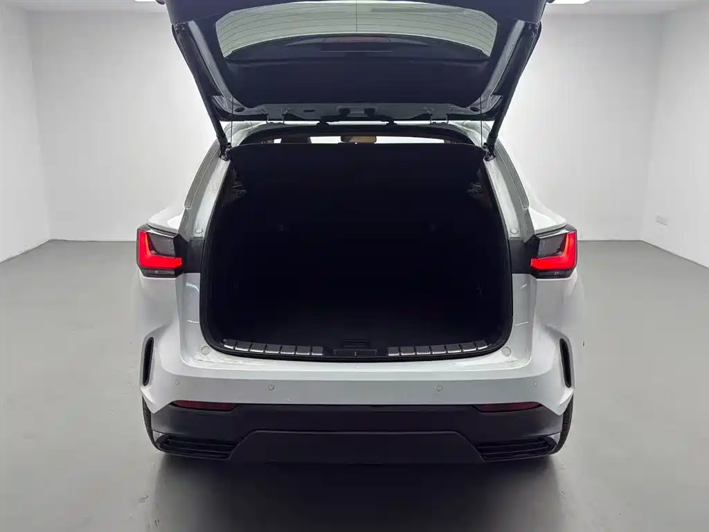 Lexus NX 2025 Model 200 Base Version фото 17