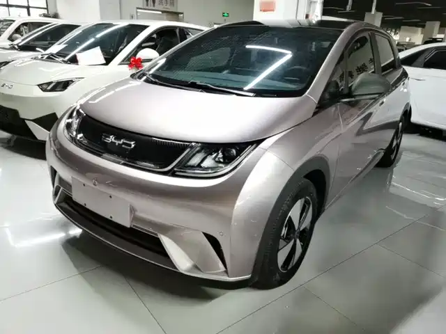 BYD Dolphin 420km, Стиль