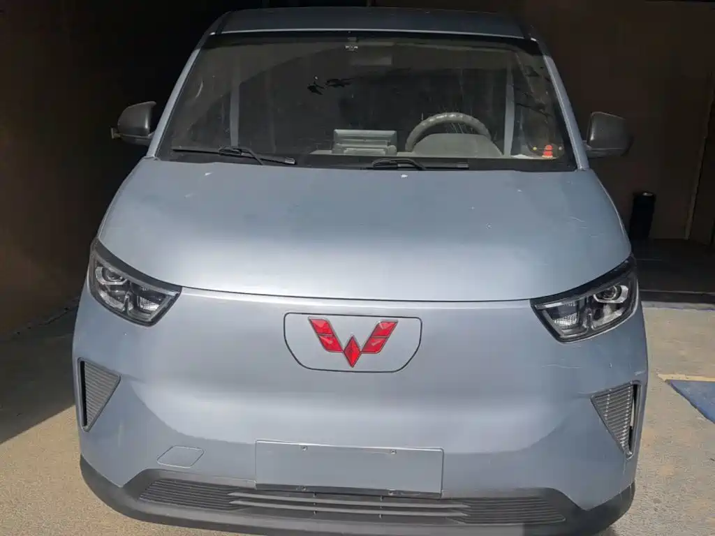 Wuling Motors Wuling Yangguang 2024 2024 300KM Comfort Bus Version 75kW