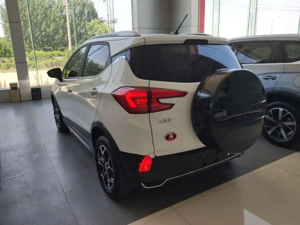 BYD Yuan Pro 2021 401KM Premium Model фото 5