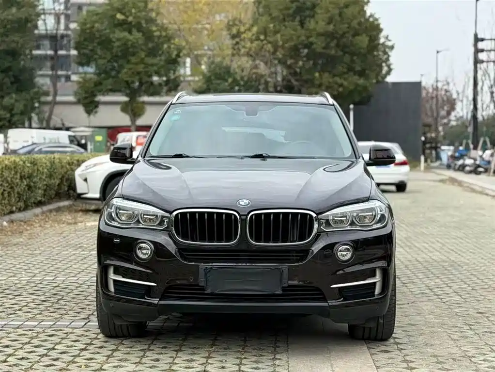BMW X5 (Import) 2017 xDrive35i Elegance фото 2