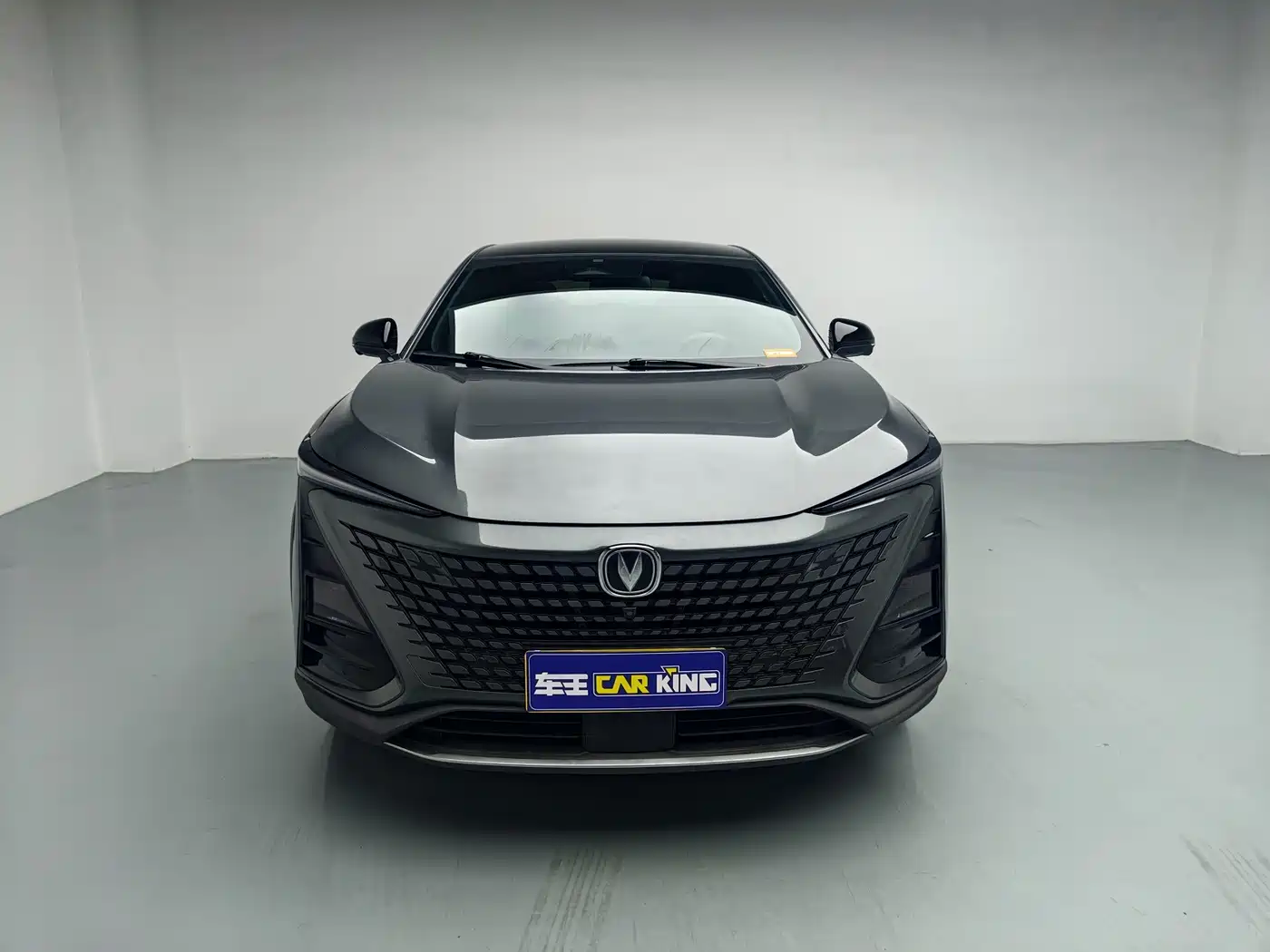 Changan UNI-T 2022 2022 1.5T Premium