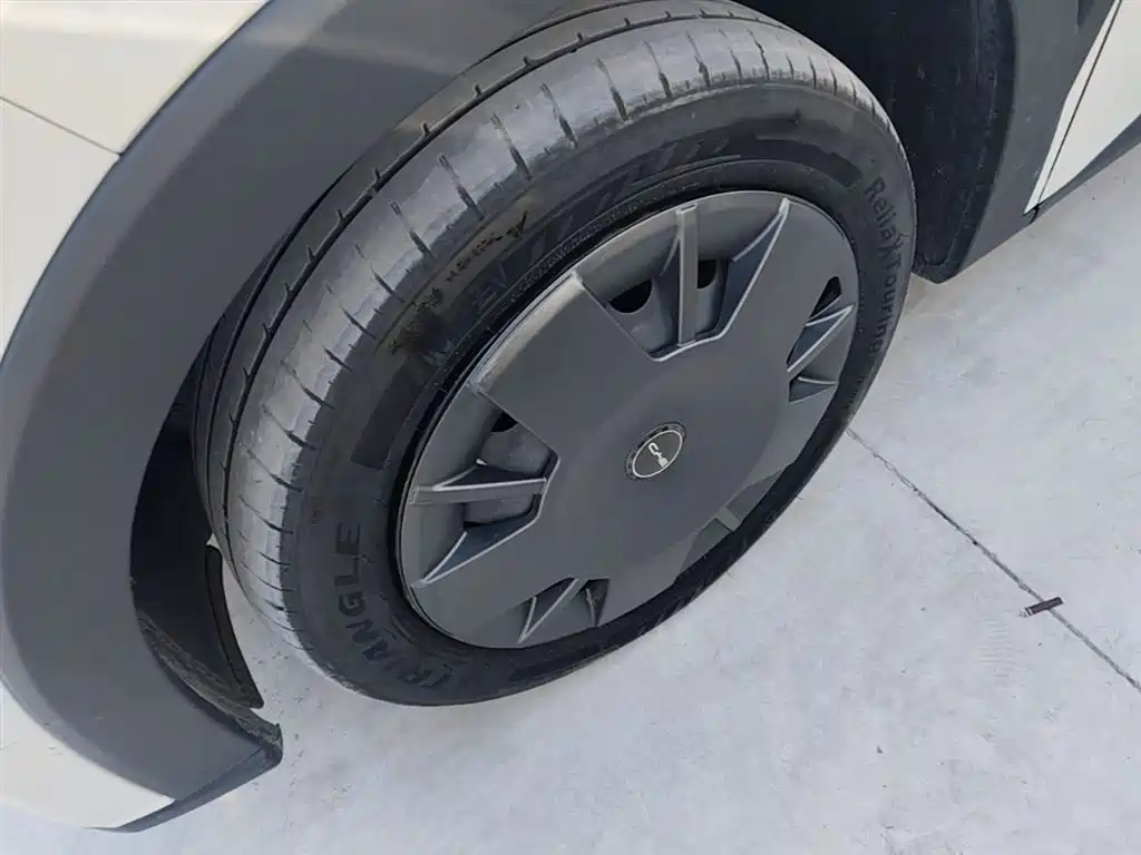 BYD Seagull 2024 Glory Edition 305km Vitality Edition фото 23