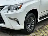 Фото 4 - Lexus GX