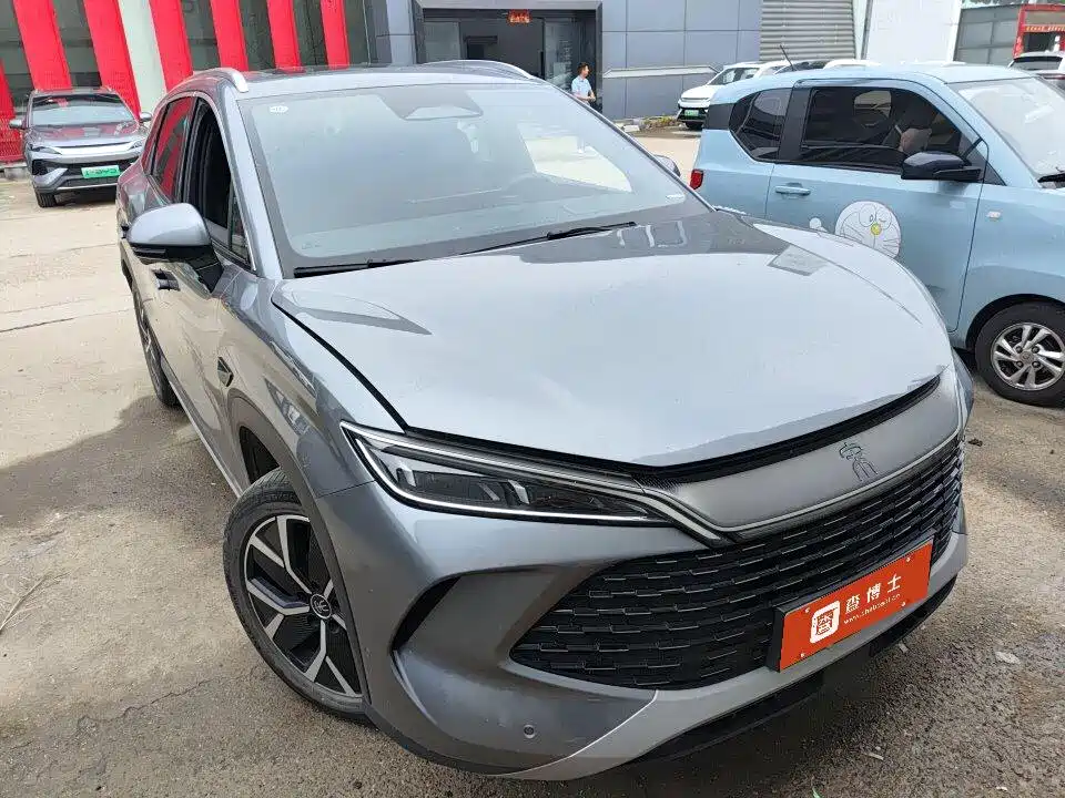 BYD Song L DM-i 2025 Smart Drive 160km Premium фото 2