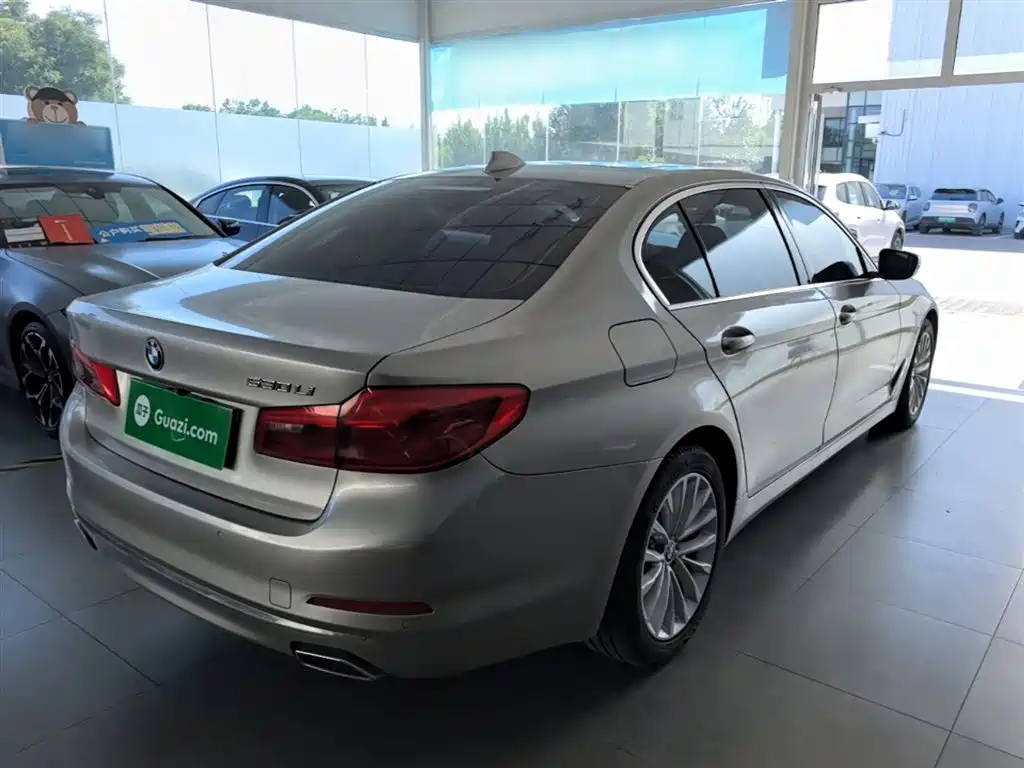 BMW 5 Series 2020 530Li Leading Luxury Package фото 7