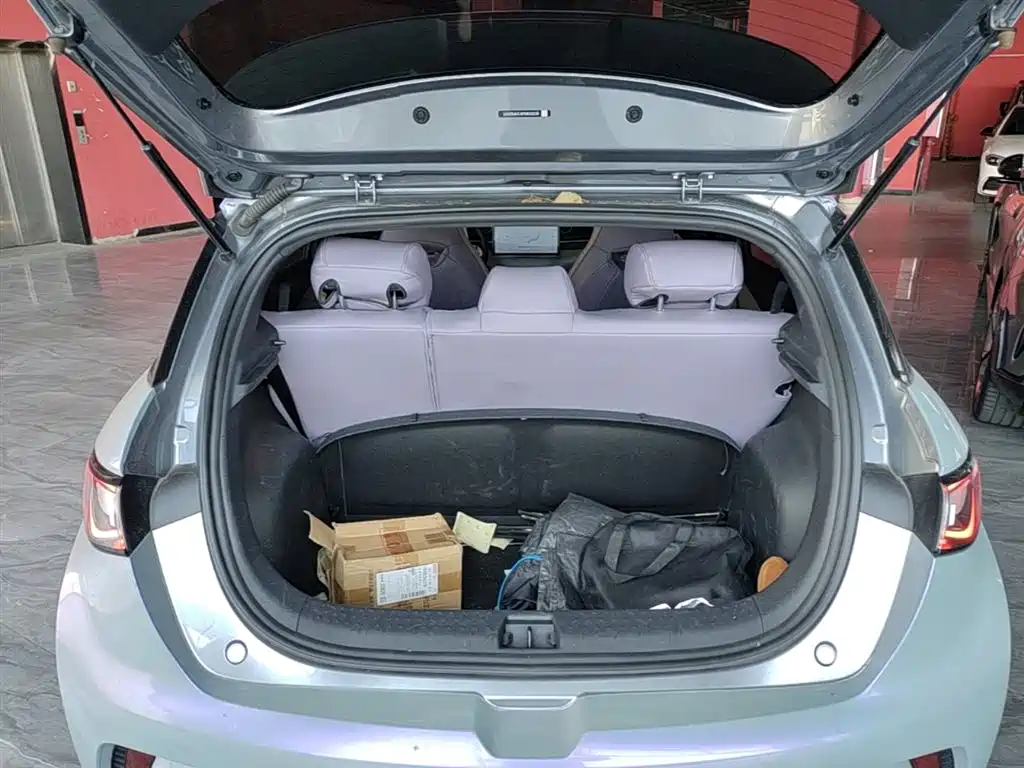BYD Dolphin 2021 Model 405km Fashion Edition фото 19
