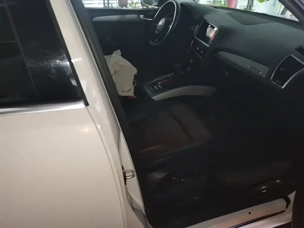 Audi Q5 2018 Collector's Edition 40 TFSI Progressive фото 25
