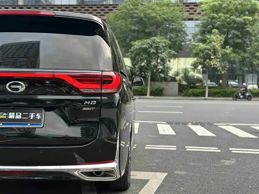 GAC Trumpchi Trumpchi M8 2021 Leading Show Series 390T Ultimate Edition фото 11