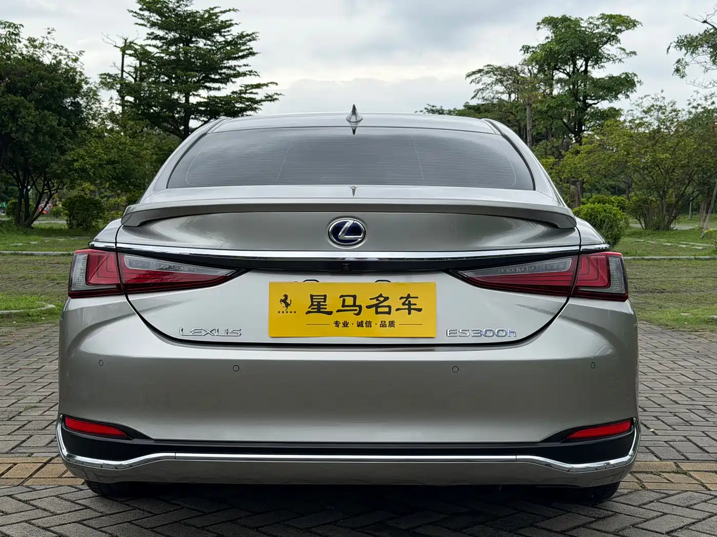 Lexus ES 2018 300h Excellence Edition China V фото 16