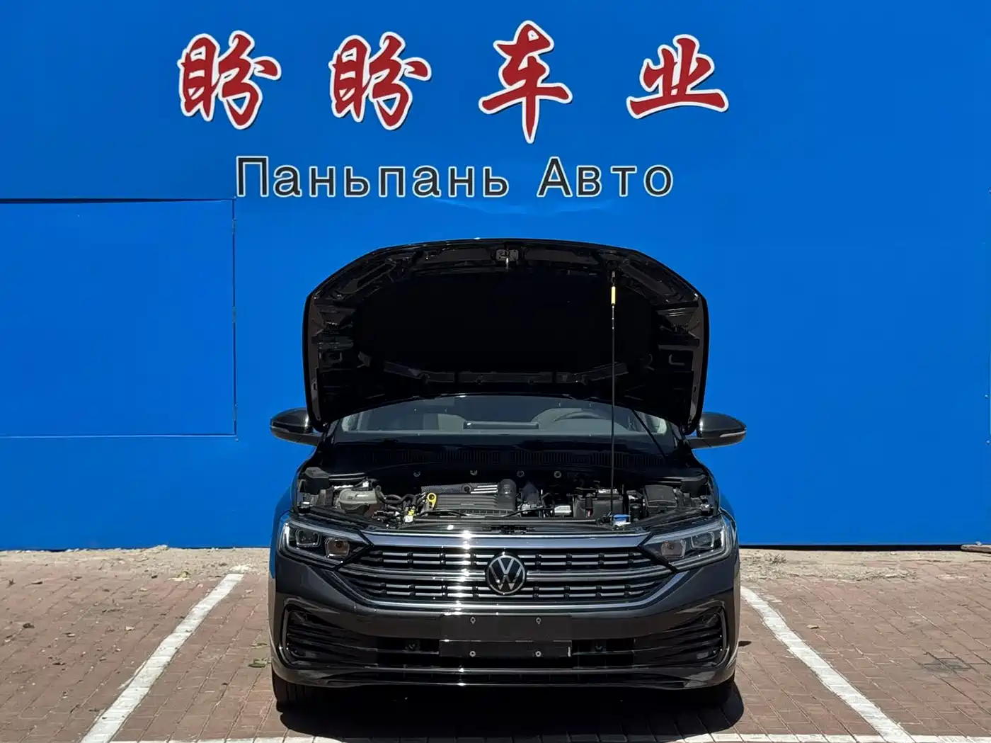 Volkswagen Sagitar 2023 280TSI DSG Surpass Plus Edition фото 11