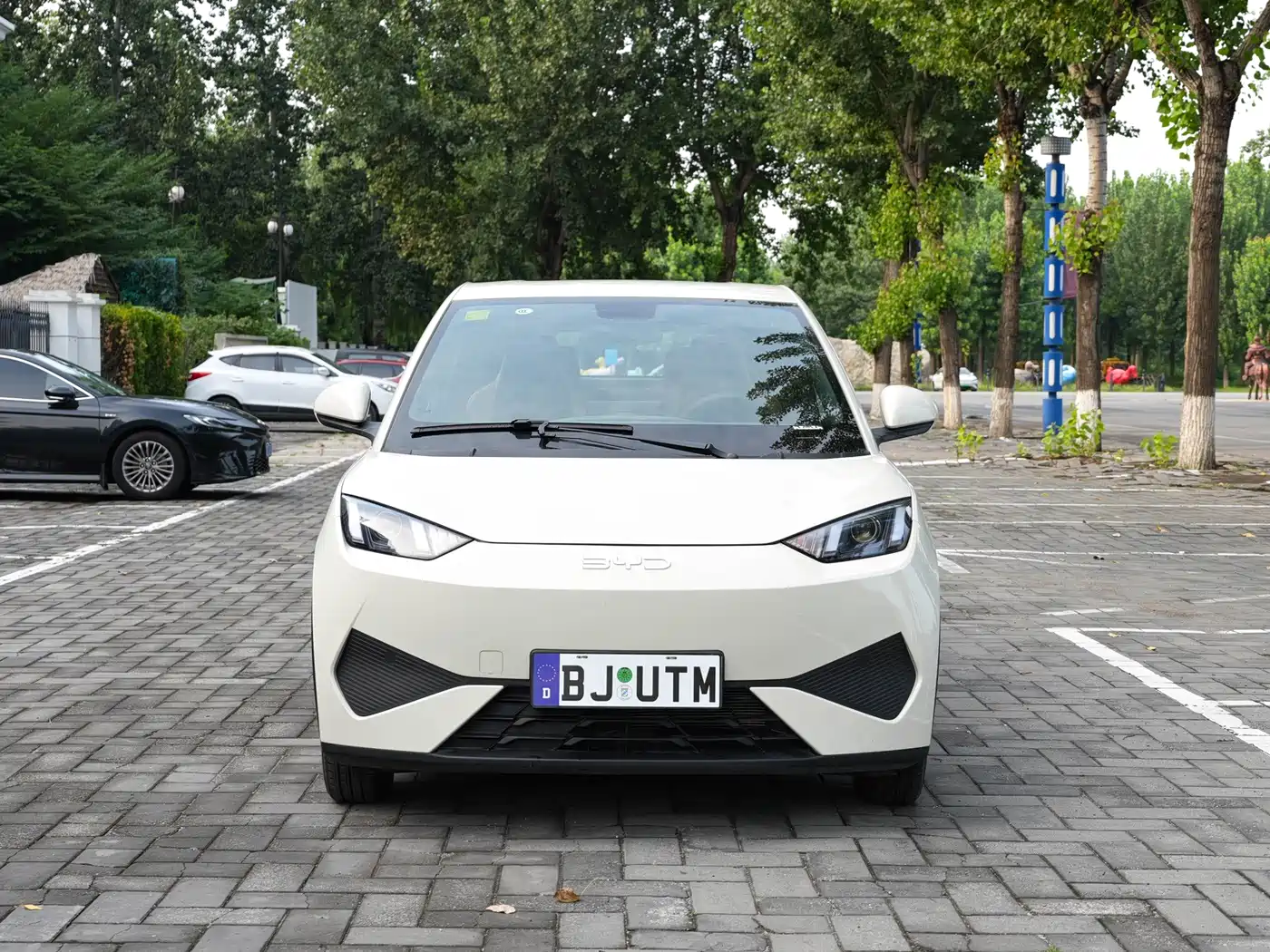 BYD Seagull 2026 2025 Smart Drive Edition 305km Vitality Version
