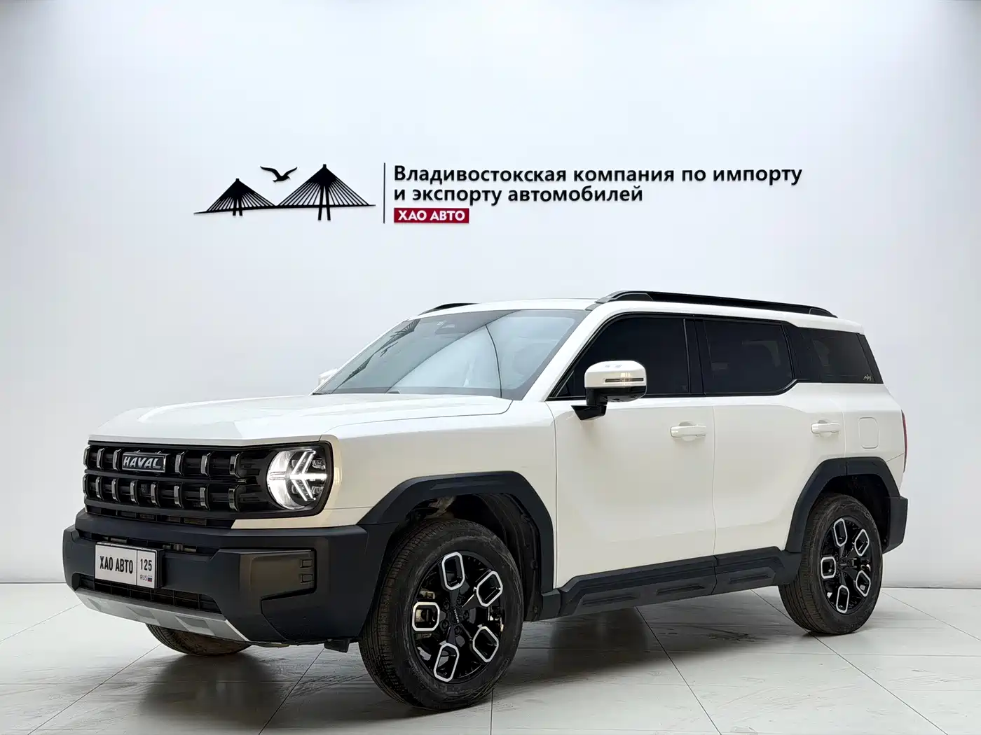 Haval Cool Dog 2023 2022 Model 1.5T DCT FWD Trendy Sound Edition