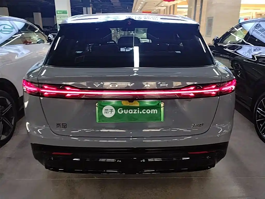 Voyah Auto Voyah Zhiyin 2024 Long Range Super Charging Edition фото 6